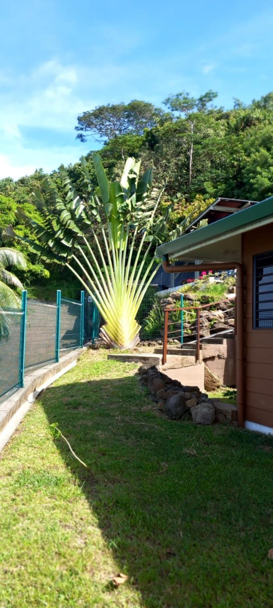Bed and Breakfast Fare Anuanua Haapiti Exterior foto